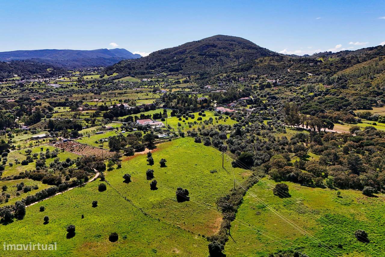 Terreno - Olival dos Freires ,Baixa de São Paulo,-12