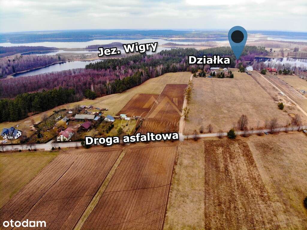 Działka nad jeziorem, Wigierski Park Narodowy - Pełny obrazek: 4/12