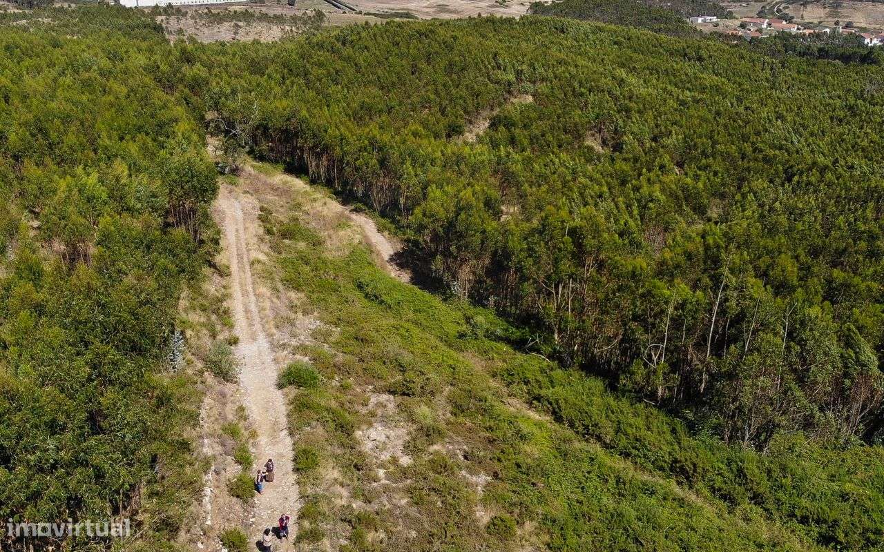 Terreno  para venda - Grande imagem: 5/20