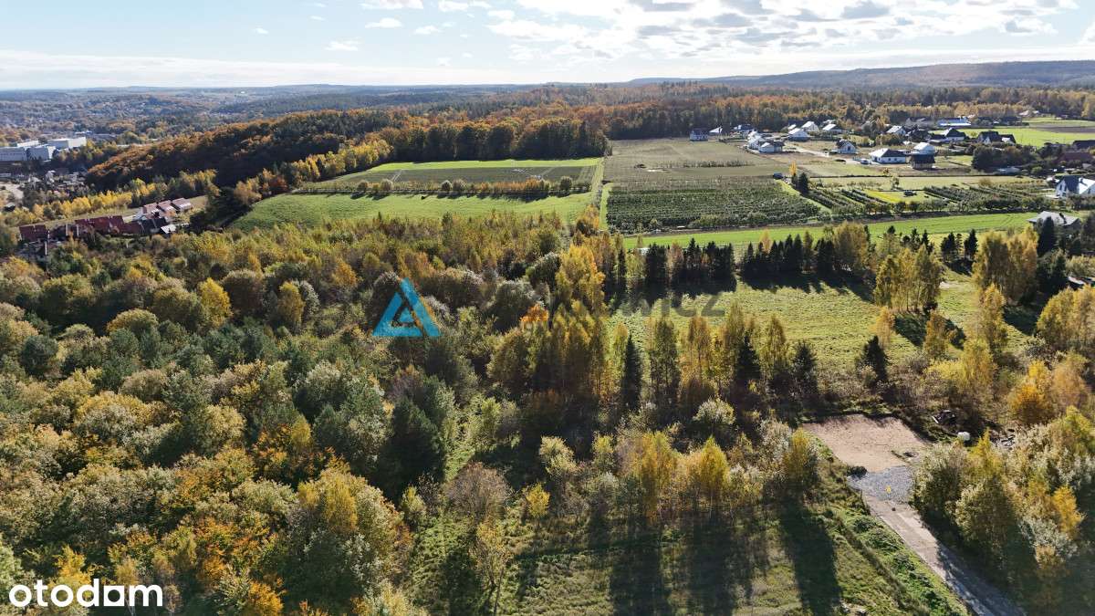 Działka z warunkami zabudowy blisko jeziora Łapino - Pełny obrazek: 4/14