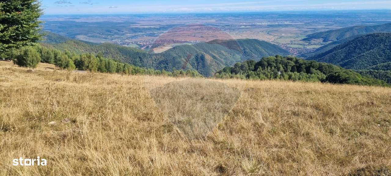 Teren  extravilan - Imagine principală: 2/13