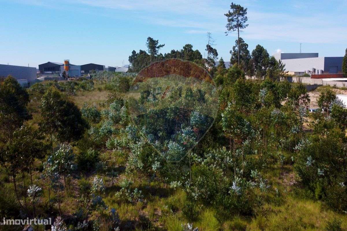 Terreno  para venda - Grande imagem: 5/7