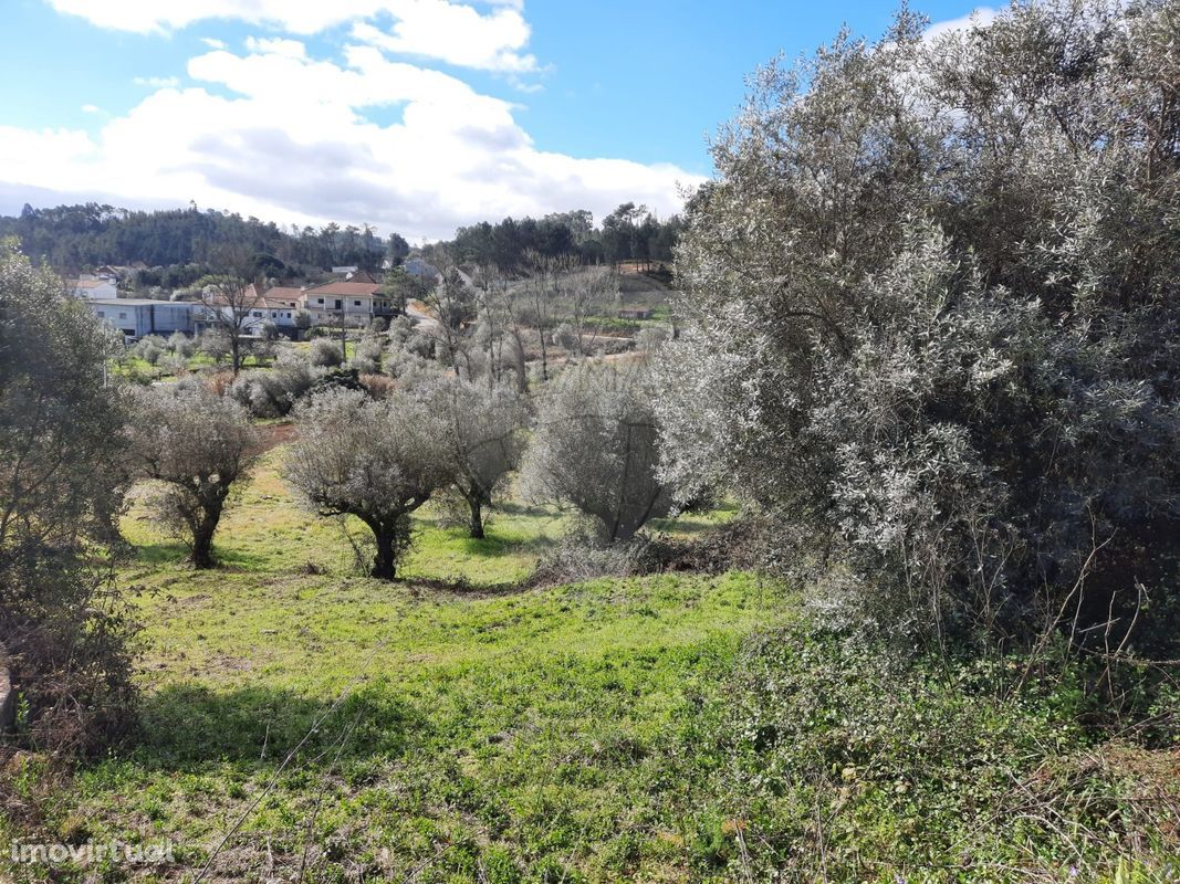 Terreno  para venda