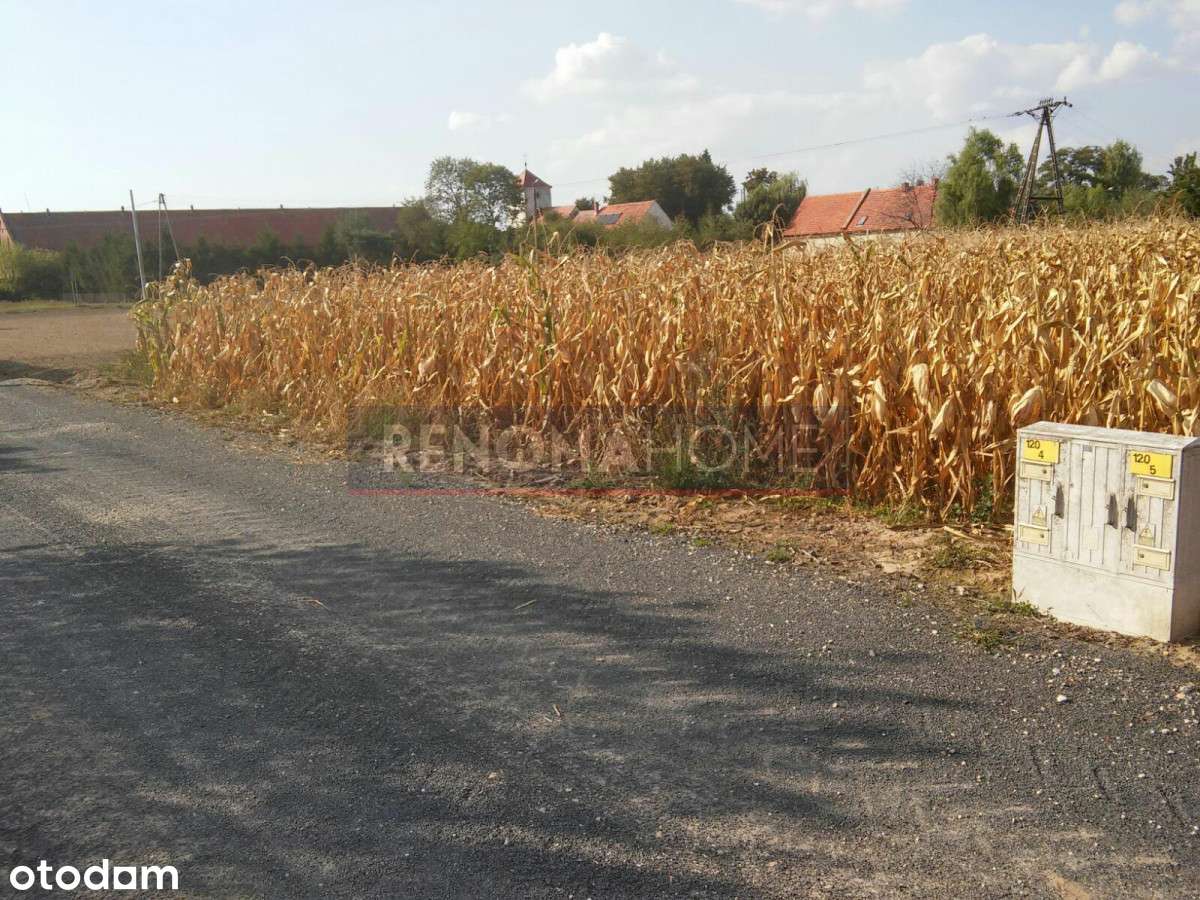 Uzbrojona działka Dębice 1117m2 - Pełny obrazek: 5/9