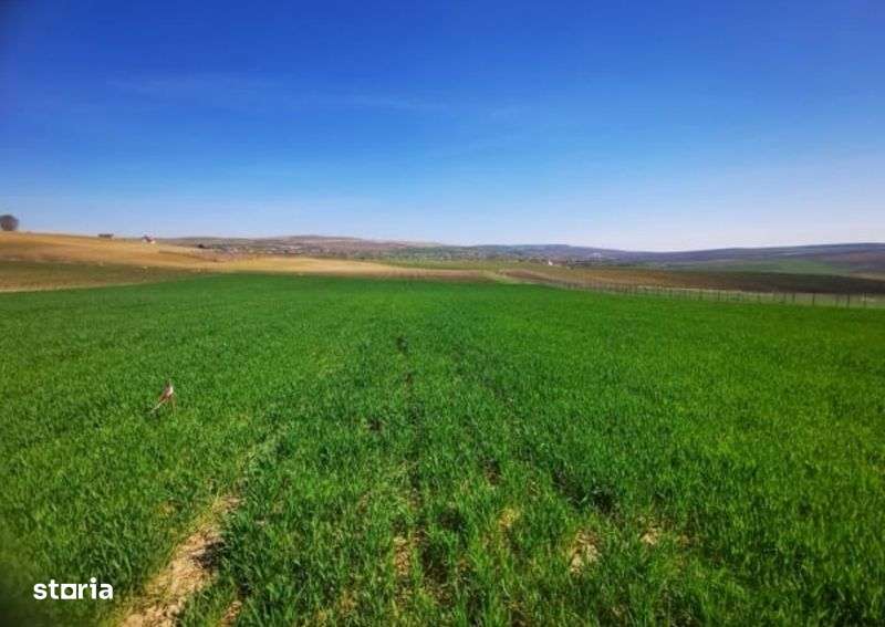Teren extravilan de vanzare - Imagine principală: 4/4