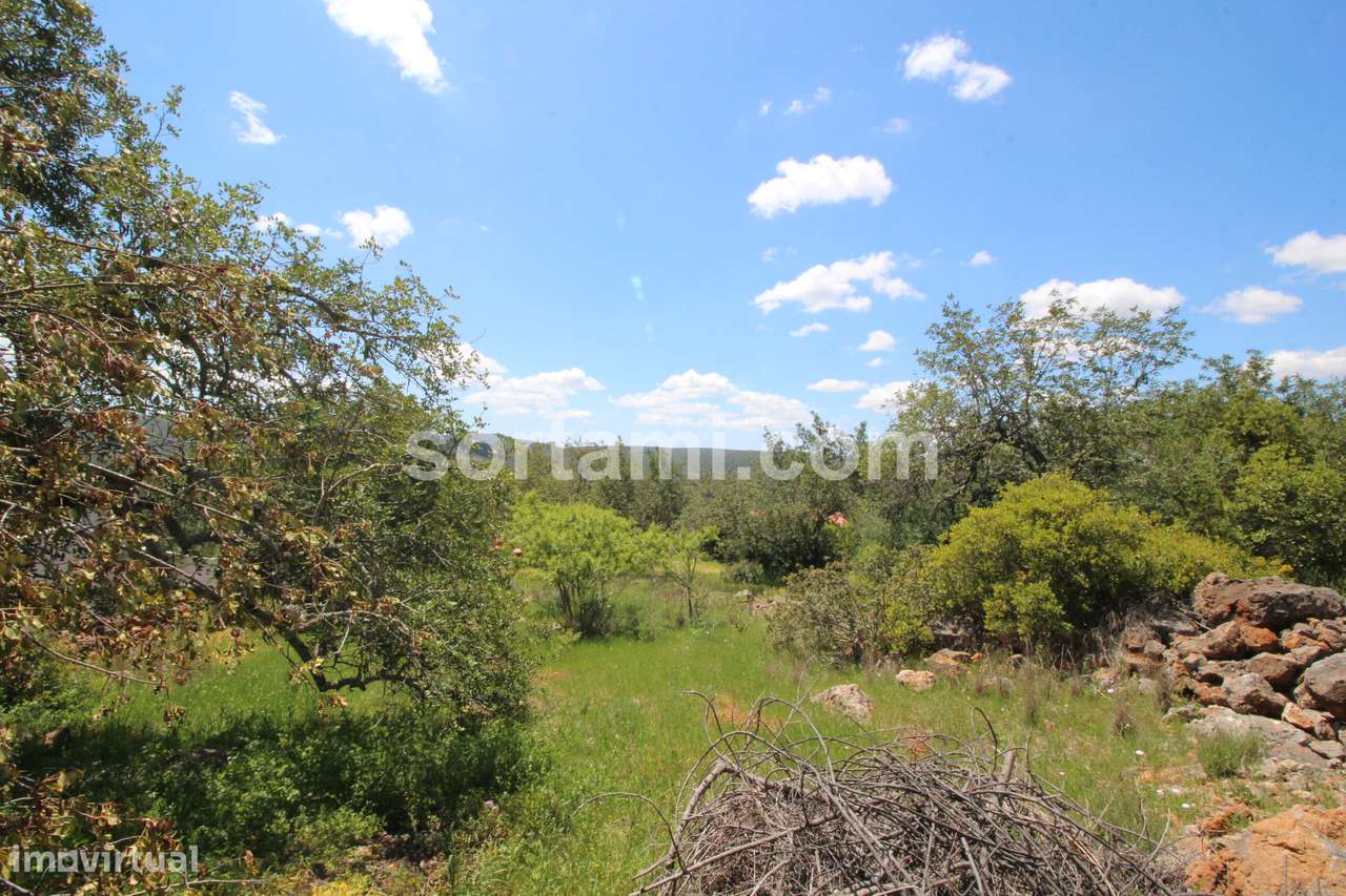 Terreno Para Construção  Venda em Querença, Tôr e Benafim,Loulé - Grande imagem: 3/7