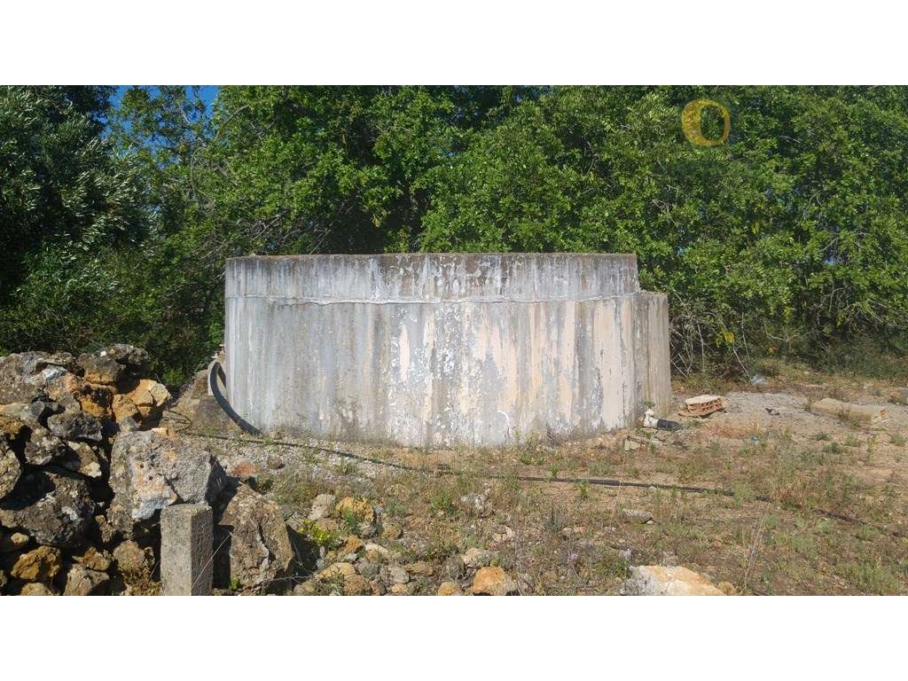 Casa por restaurar com 170 m2 em terreno com 2,2 hectares - Grande imagem: 5/15