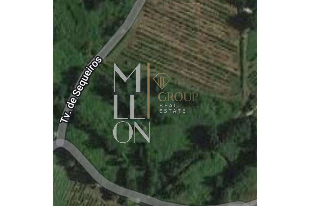 Campos agrícolas com 8250m2 bem localizados e com bons acessos em Sant - Grande imagem: 2/5