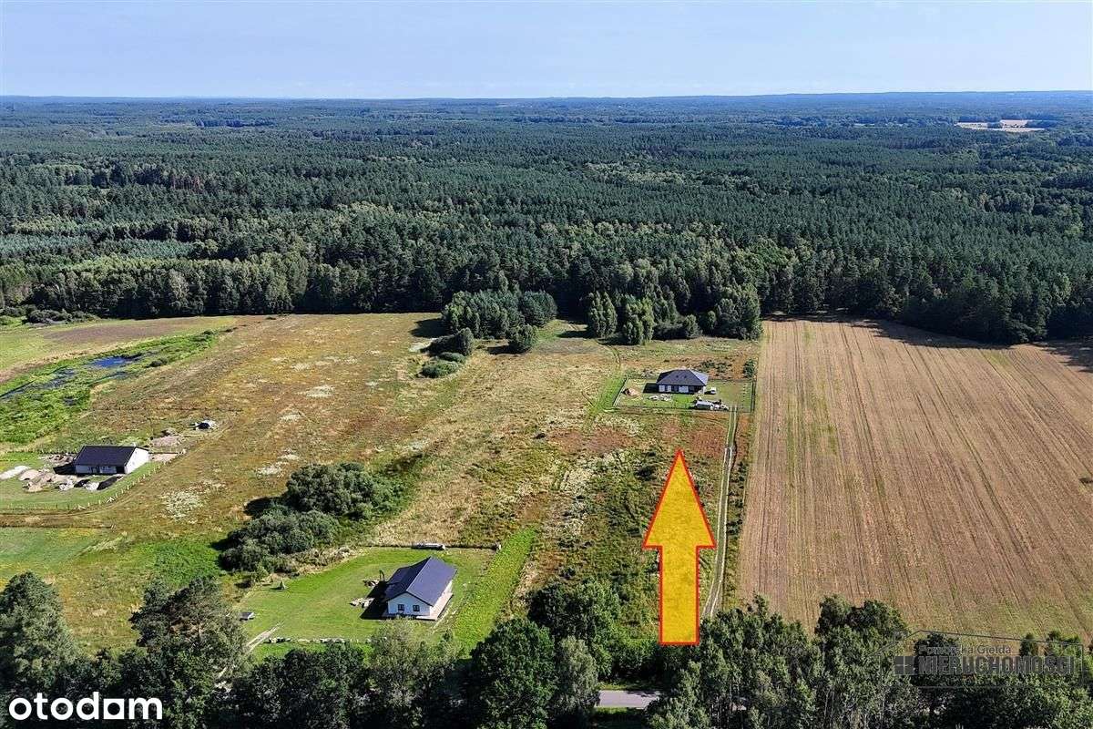 Działka budowlana blisko lasu, obok zabudowań. - Pełny obrazek: 4/20