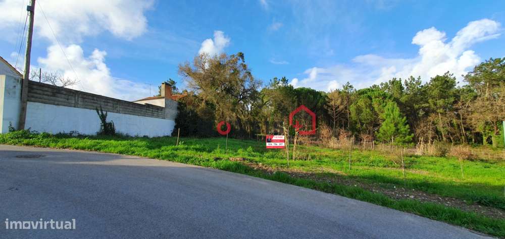 Terreno com viabilidade de construção – Monte Real - Grande imagem: 5/7