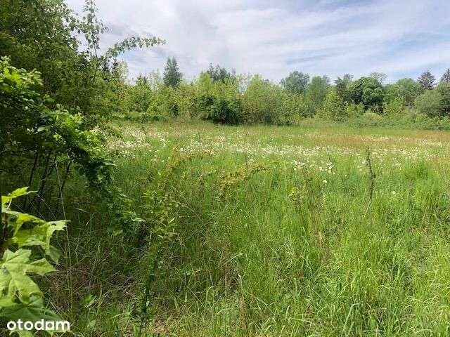 Bronisławów/Dębówka,budow.media,do Pkp-1500m - Pełny obrazek: 4/5