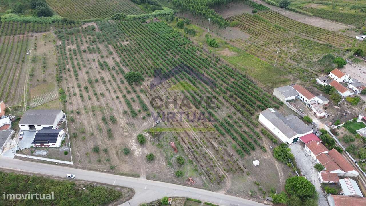 Terreno Rústico Construtível c/ 7.859 m2 Carvalhal - Bombarral - Grande imagem: 4/15