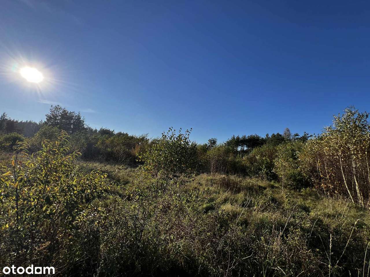 Teren pod produkcję , usługi i magazyny w Dąbrówce  niedaleko Arkabud-10