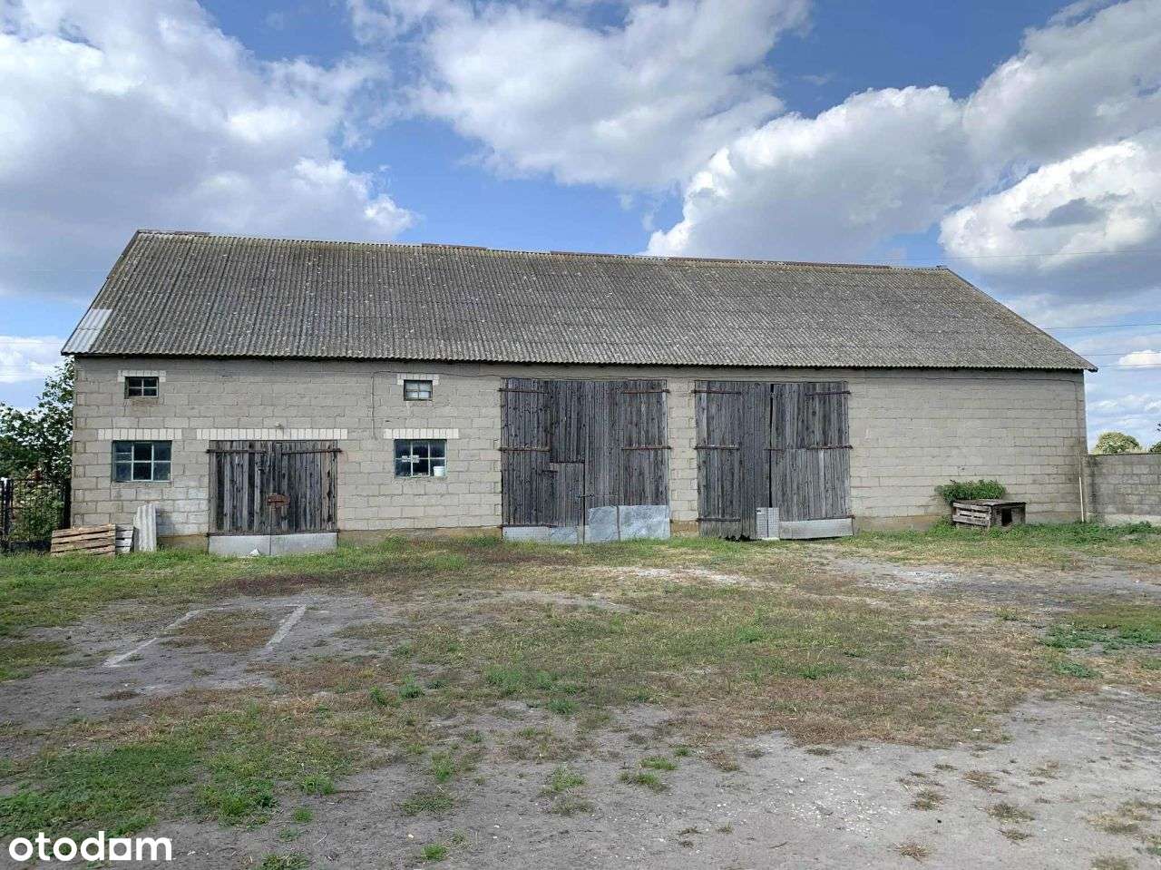 na sprzedaż siedlisko pow kolski gm Chodów woj wlk - Pełny obrazek: 4/17