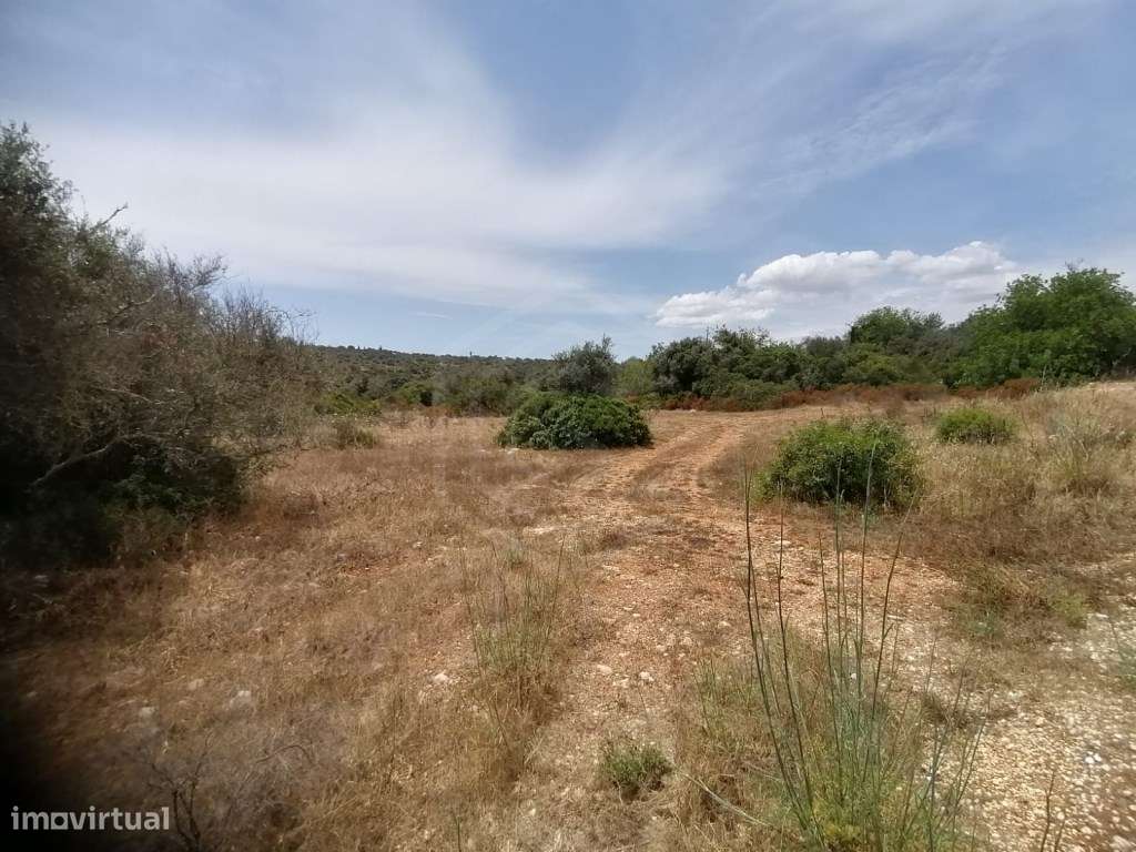 Terreno rústico junto à A22 na Mexilhoeira Grande, Algarve - Grande imagem: 2/15
