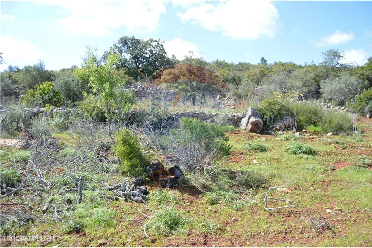 Terreno  para venda - Grande imagem: 4/20