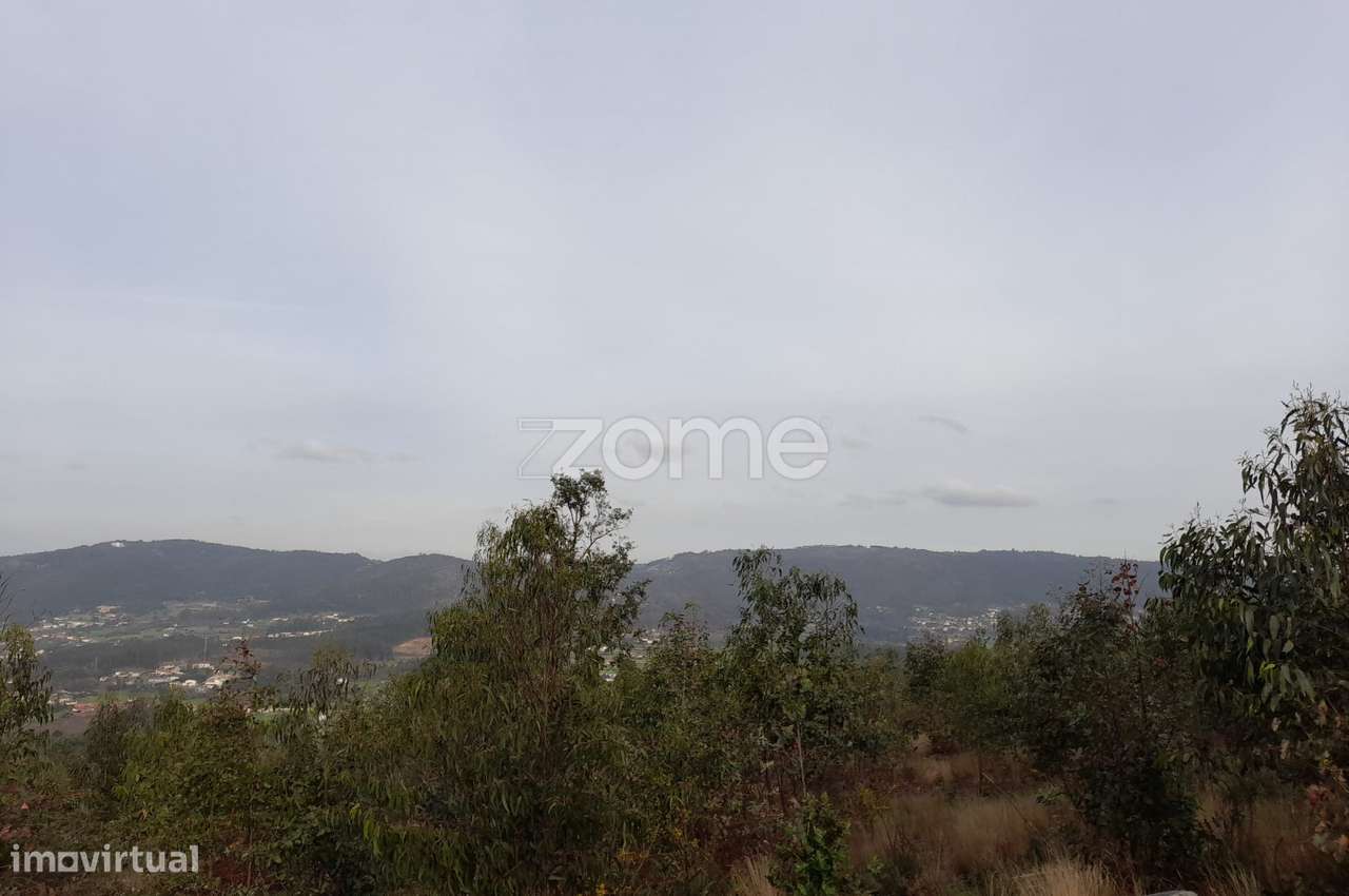 Terreno Florestal sito em Guimarei! - Grande imagem: 4/15