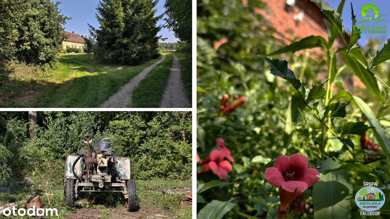 ENKLAWA prezentuje: TOTALNE odludzie! Poczuj prawdziwą WOLNOŚĆ! Zobacz-15