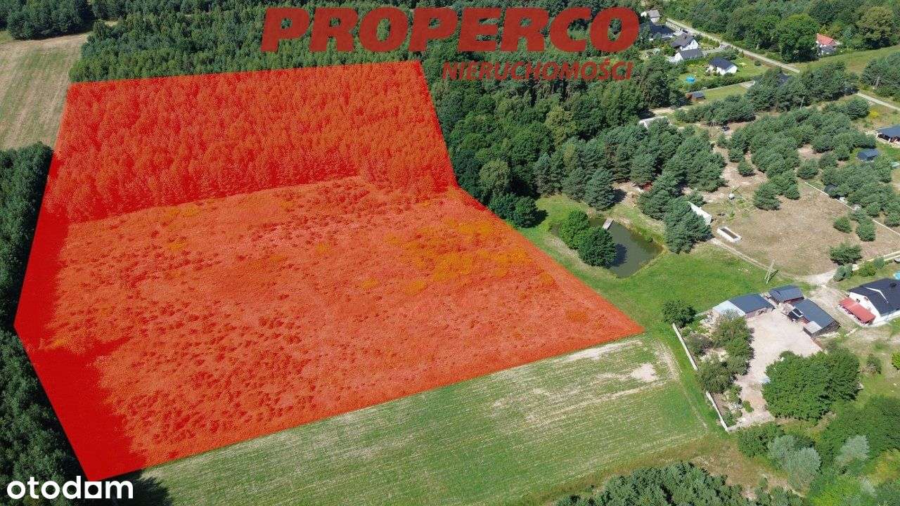 Działka 36661m2, Kolonia Bogoria, Bogoria - Pełny obrazek: 5/9