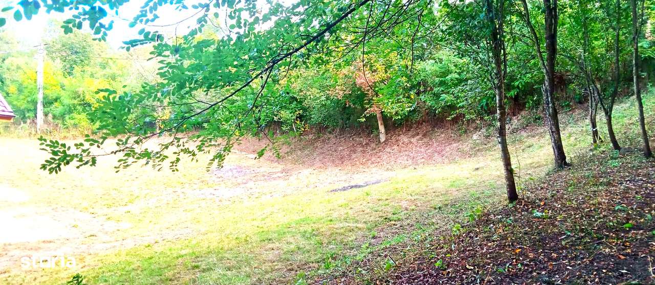 Casă lângă pădure, în zonă verde, liniștită – Iedera de Sus, Dâmbovița - Imagine principală: 4/5