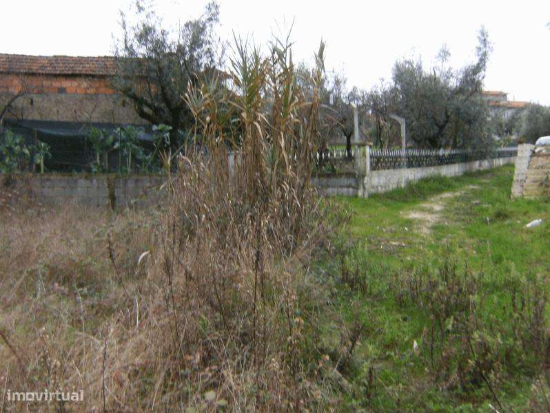 Terreno construção para venda, ourém - gondemaria - Grande imagem: 3/5