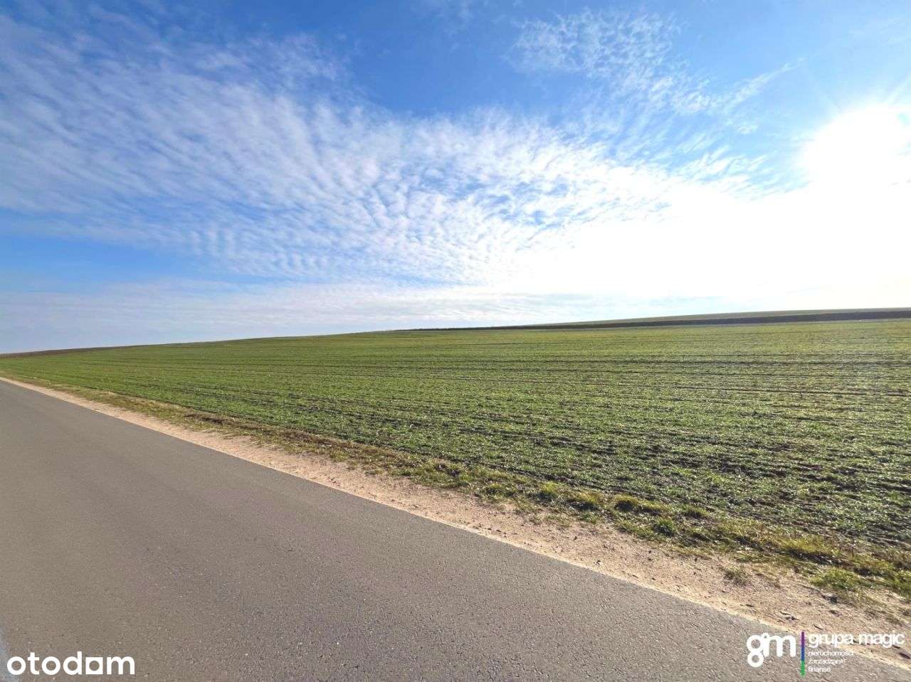 Działka, 12 818 m², Małszyce - Pełny obrazek: 5/8