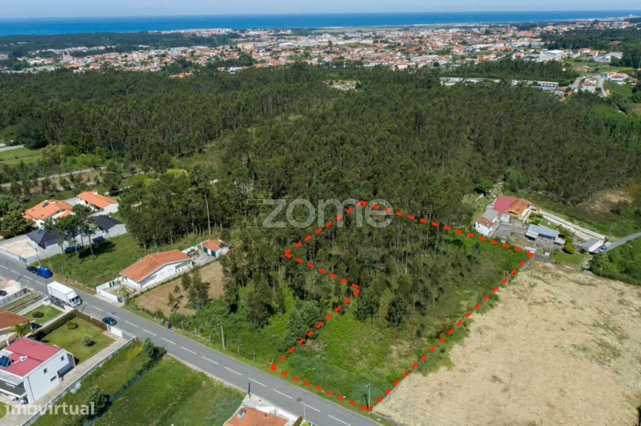 Terreno para Construção de Moradia(s) em Cortegaça, Ovar - Grande imagem: 4/21