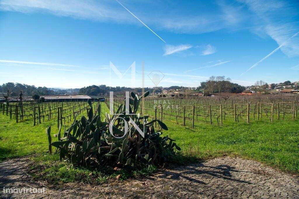 Quinta do Loureiro: Uma Casa Solar Histórica e Elegante em Lousada-32