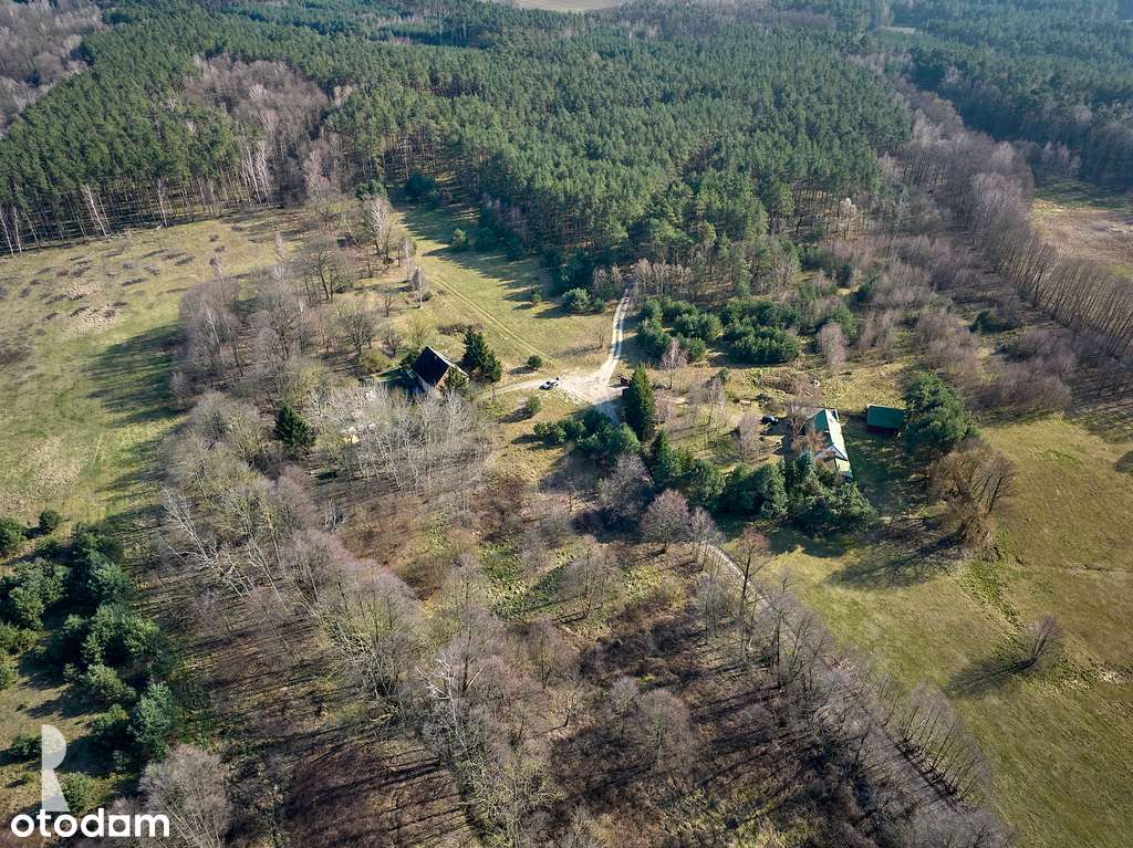 Malownicza działka z WZ pod lasem - Pełny obrazek: 5/7