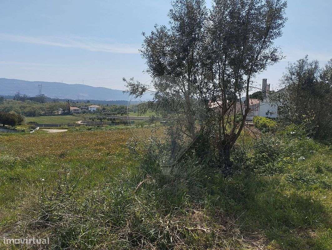 Terreno  para venda - Grande imagem: 5/12