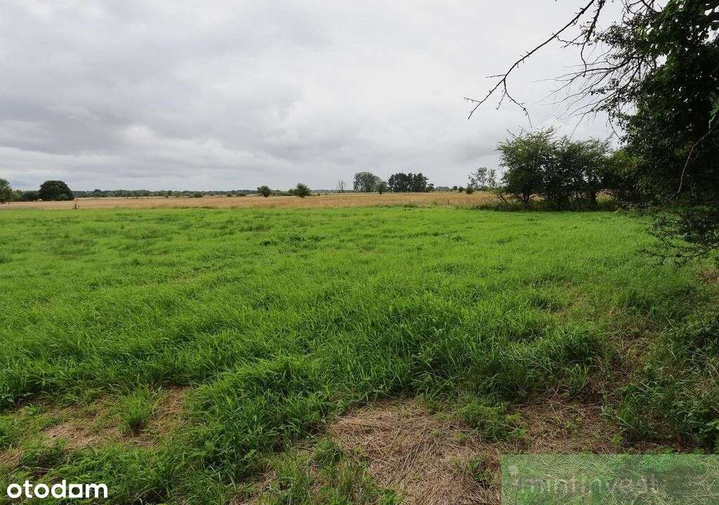 1,95 Ha W Żarnowie – Twoje Miejsce Blisko Natury-7