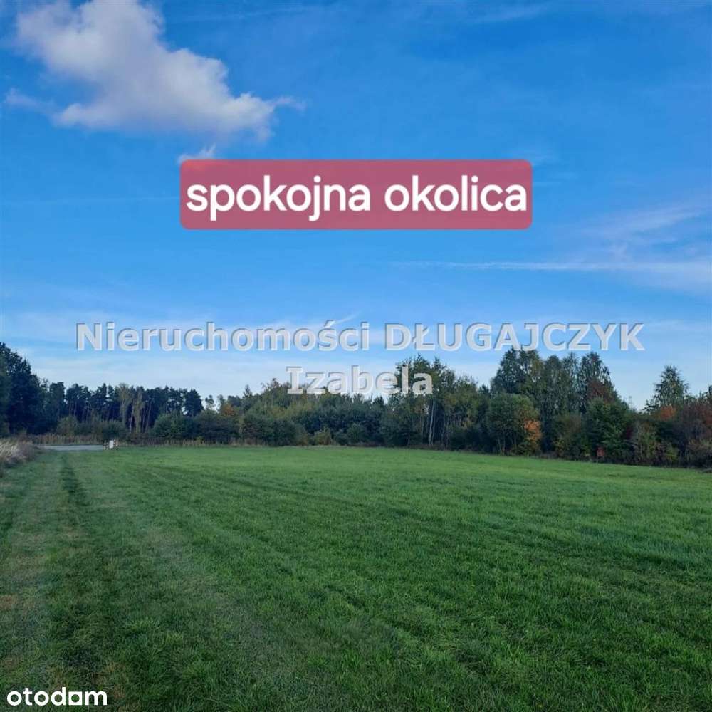 Działka Żory Rowień-0