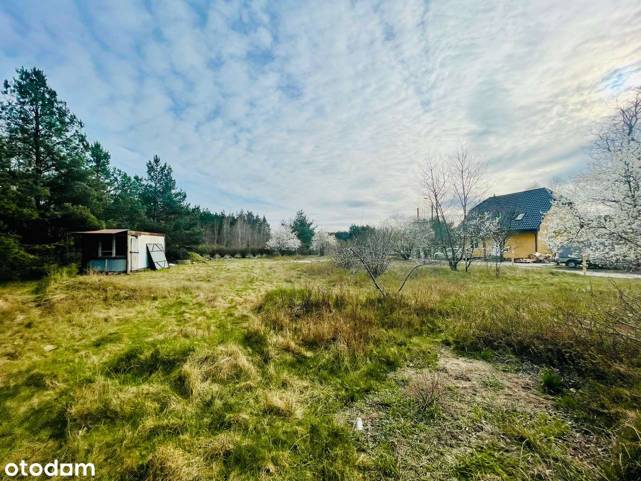 Działka w otoczeniu natury | Cisza, spokój i zieleń | Warunki zabudowy-3