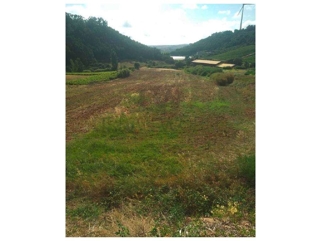 Terreno Industrial C/ PIP , Torres Vedras, 23.000 m² - Grande imagem: 3/8