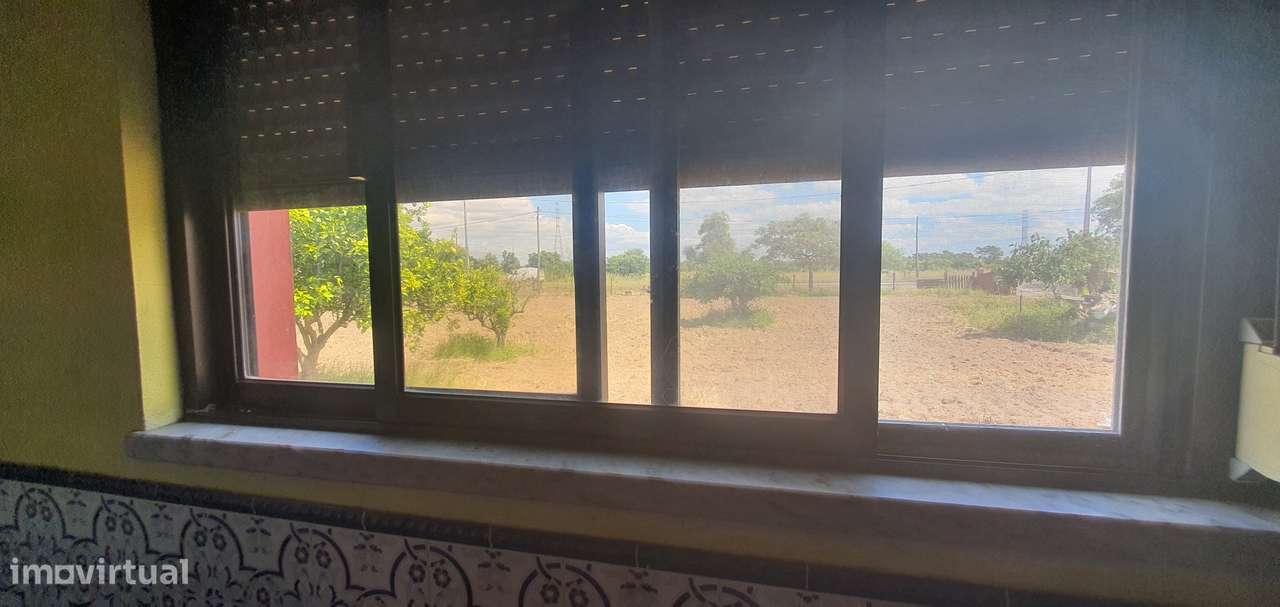 Quinta  5000m2 Viver no Campo Com a Cidade Por Perto Passil Alcochete-50