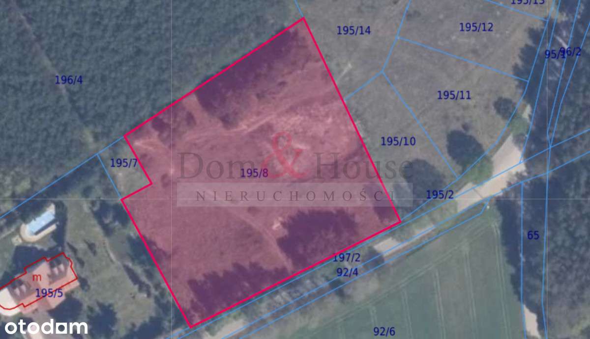 Lipy - Działka na Kaszubach z możliwością zabudowy - Pełny obrazek: 5/8