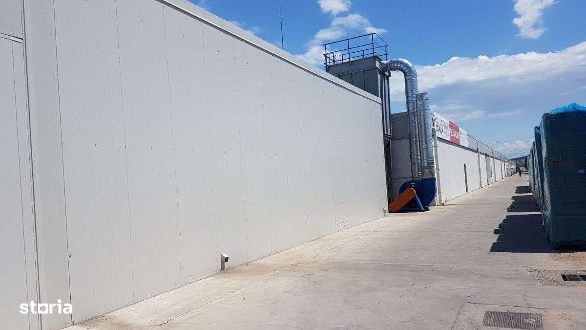 Exclusiv. Hale Industriale Cu Birouri, De Vanzare In Sebes, Jud. Alba. - Imagine principală: 5/18