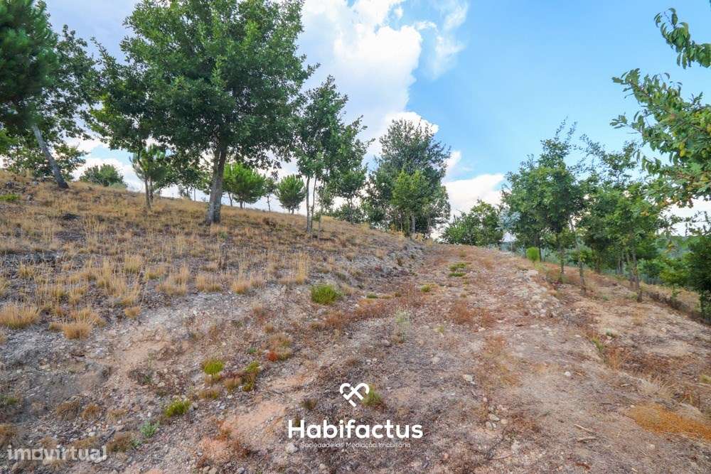 Lote de terreno urbano com 5003 m2 para venda em Santos Êvos-11