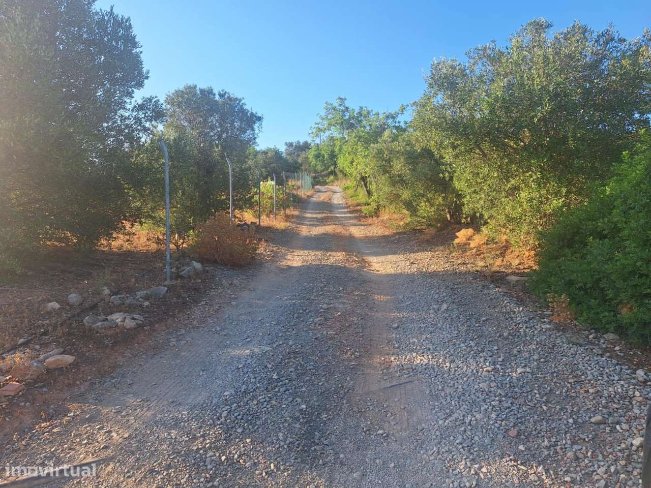 Terreno Rústico a 10km de Estoi-9