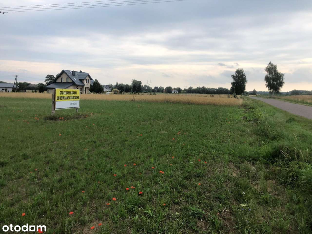 Działki budowlane, uzbrojone Antoninów k. Łącka - Pełny obrazek: 4/7