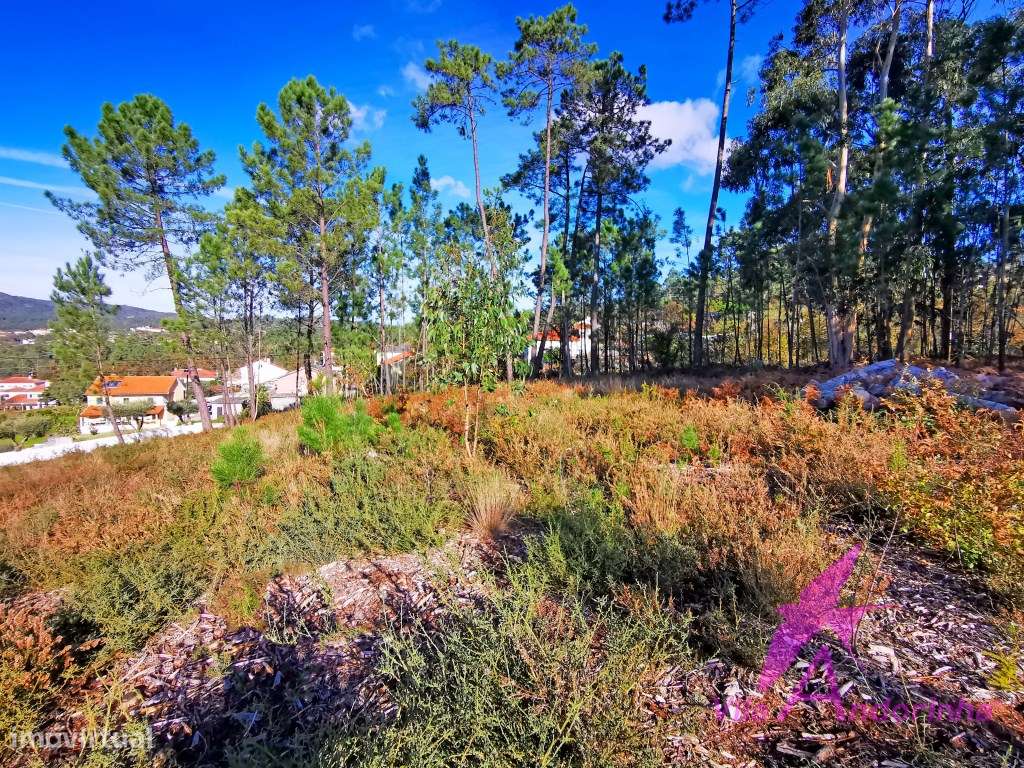 Terreno 1578,84 m2 a 13 minutos de Viana do Castelo - Vista e local... - Grande imagem: 3/12