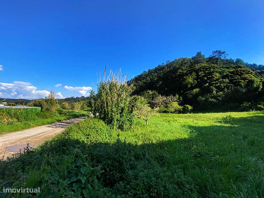 Pequena moradia T2, encantadora, autêntica, entre Óbidos e Bombarral-26