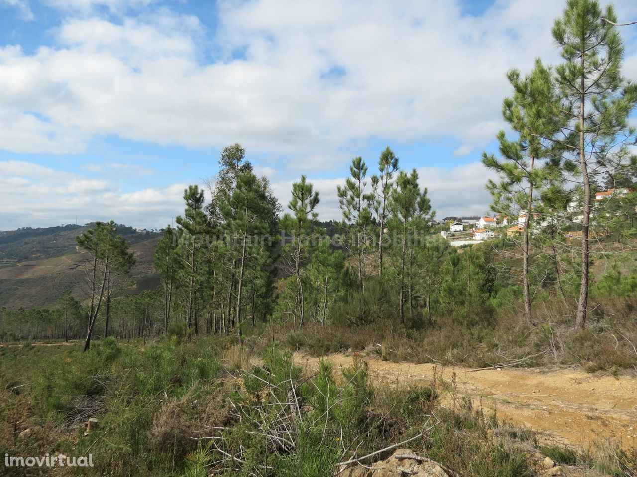 Terreno  Venda em Torrozelo e Folhadosa,Seia