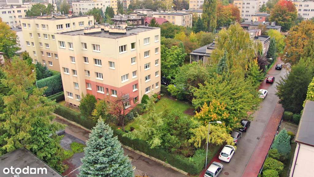 Przytulne mieszkanie z widokiem na zieleń-1