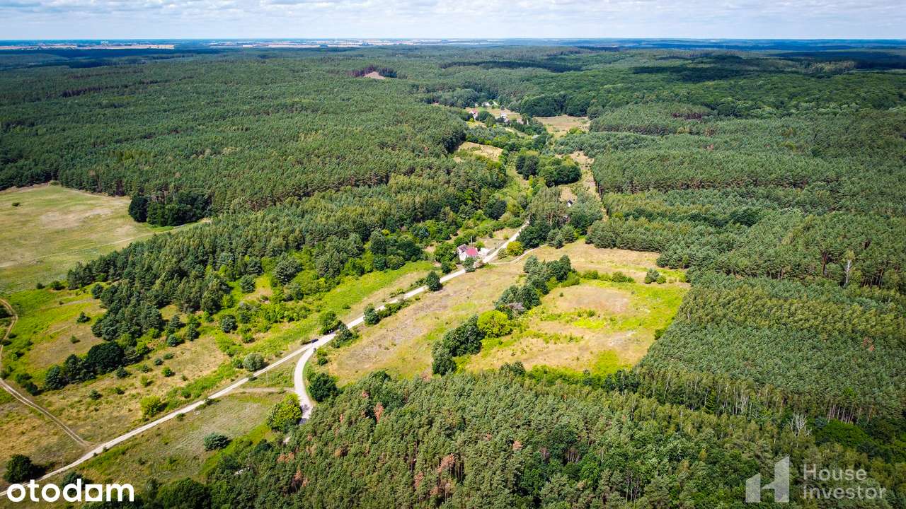 Nowe Kurowo- Piękna działka w otulinie lasów 1247 m2, warunki zabudowy-5
