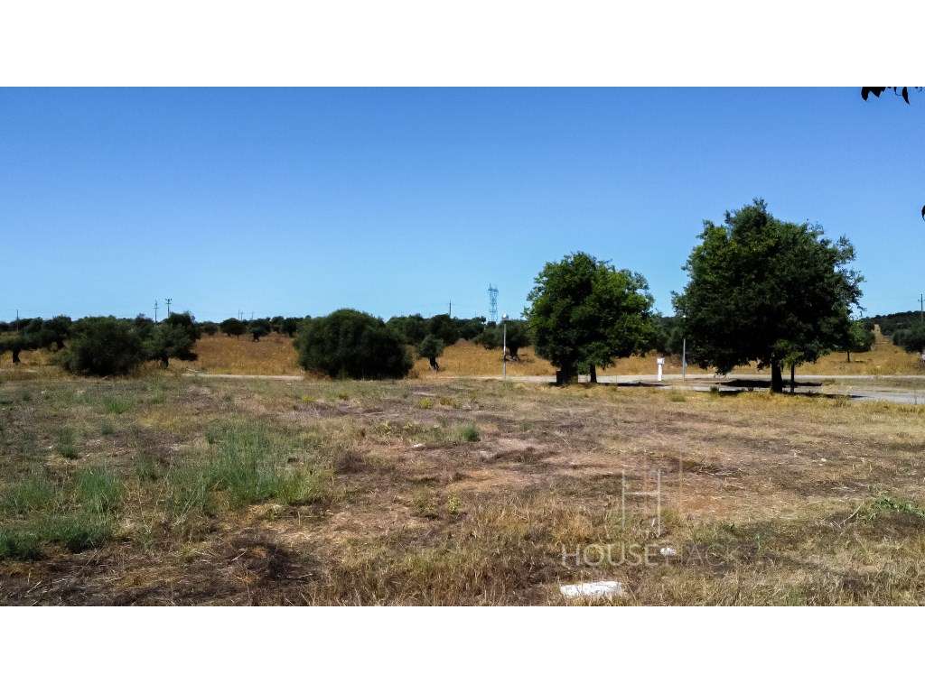 Lotes para construção no Baixo Alentejo - Alvito-13