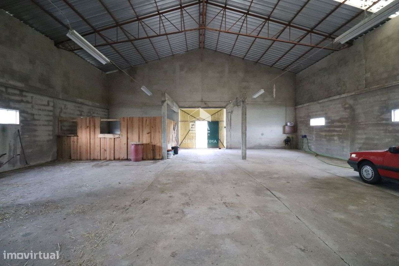 Armazém localizado no Olival, Ourém! - Grande imagem: 5/14