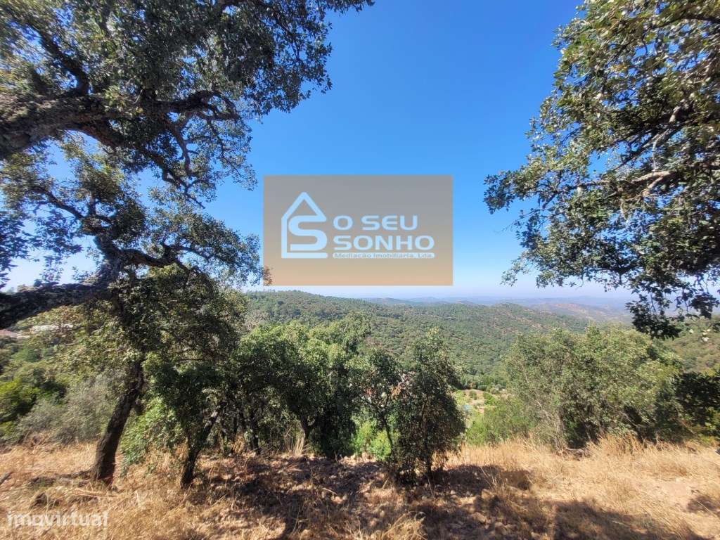 Moradia com Garagem e Terreno no Campo-17