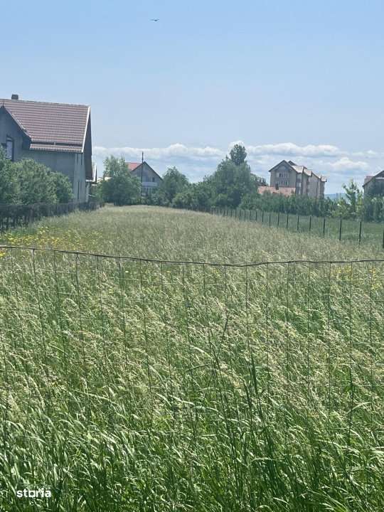 Teren intravilan ,2000 mp,Radauti - Imagine principală: 5/5