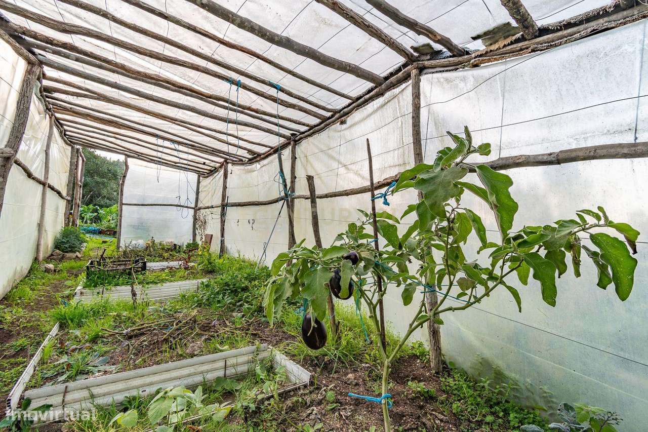 Viver de uma forma Ecológica em Terreno Panorâmico em Calde, Viseu-16